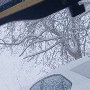 Meet your Posher, Cameron